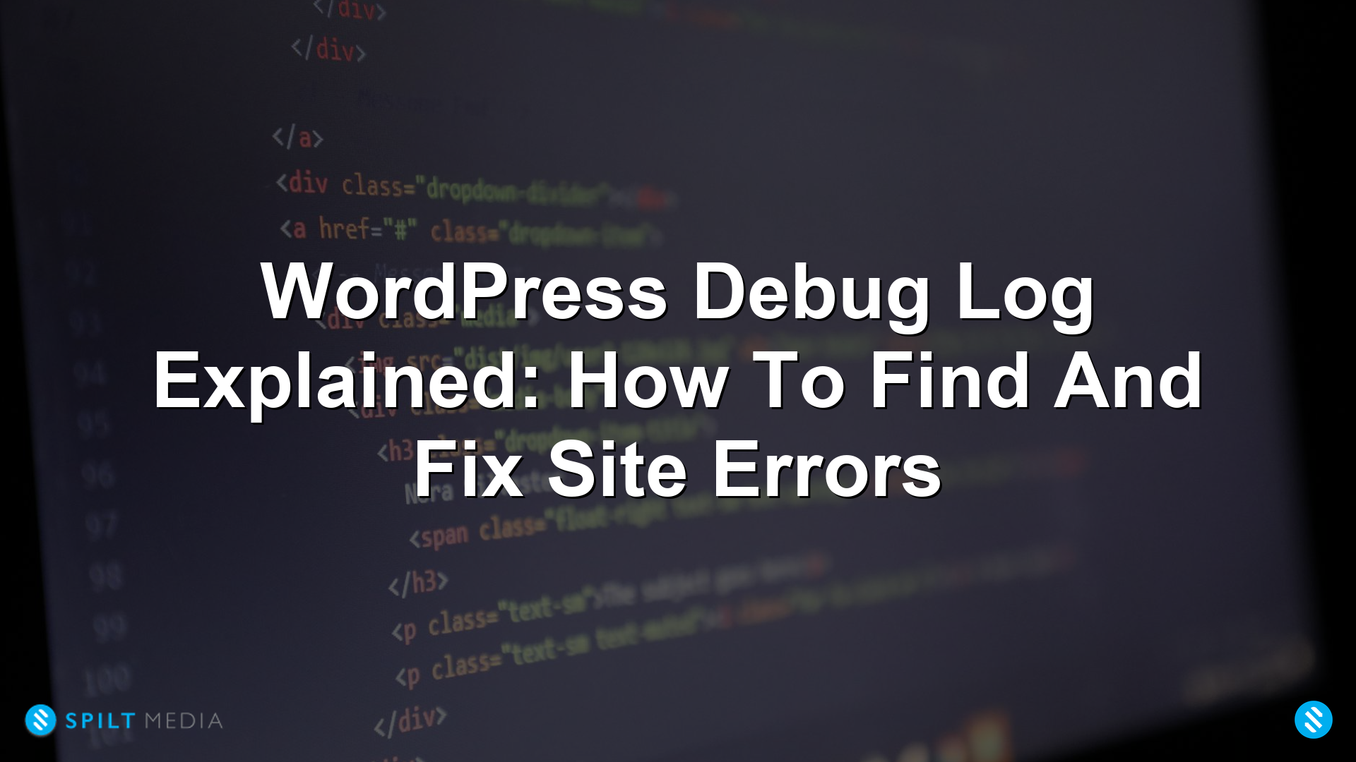WordPress Debug Log: Finding And Fixing Errors | Spilt