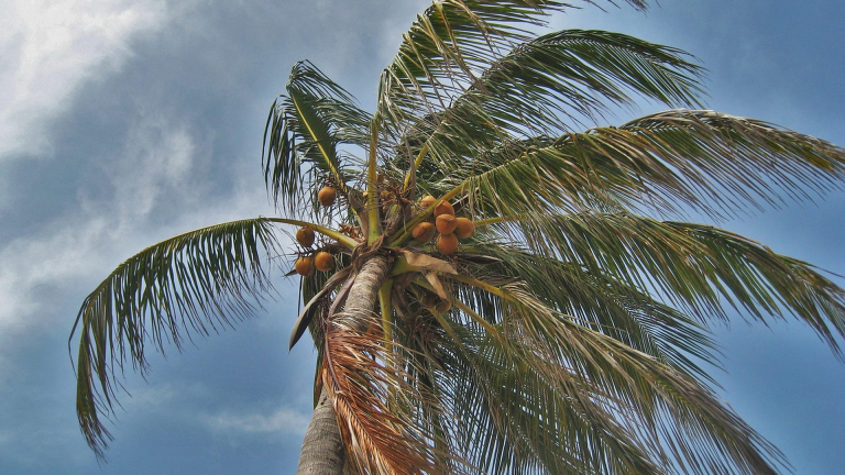 Hurricane Season Marketing Prep for Treasure Coast Owners