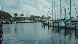 Sailboats and yachts docked in a sunny Florida marina under a blue sky